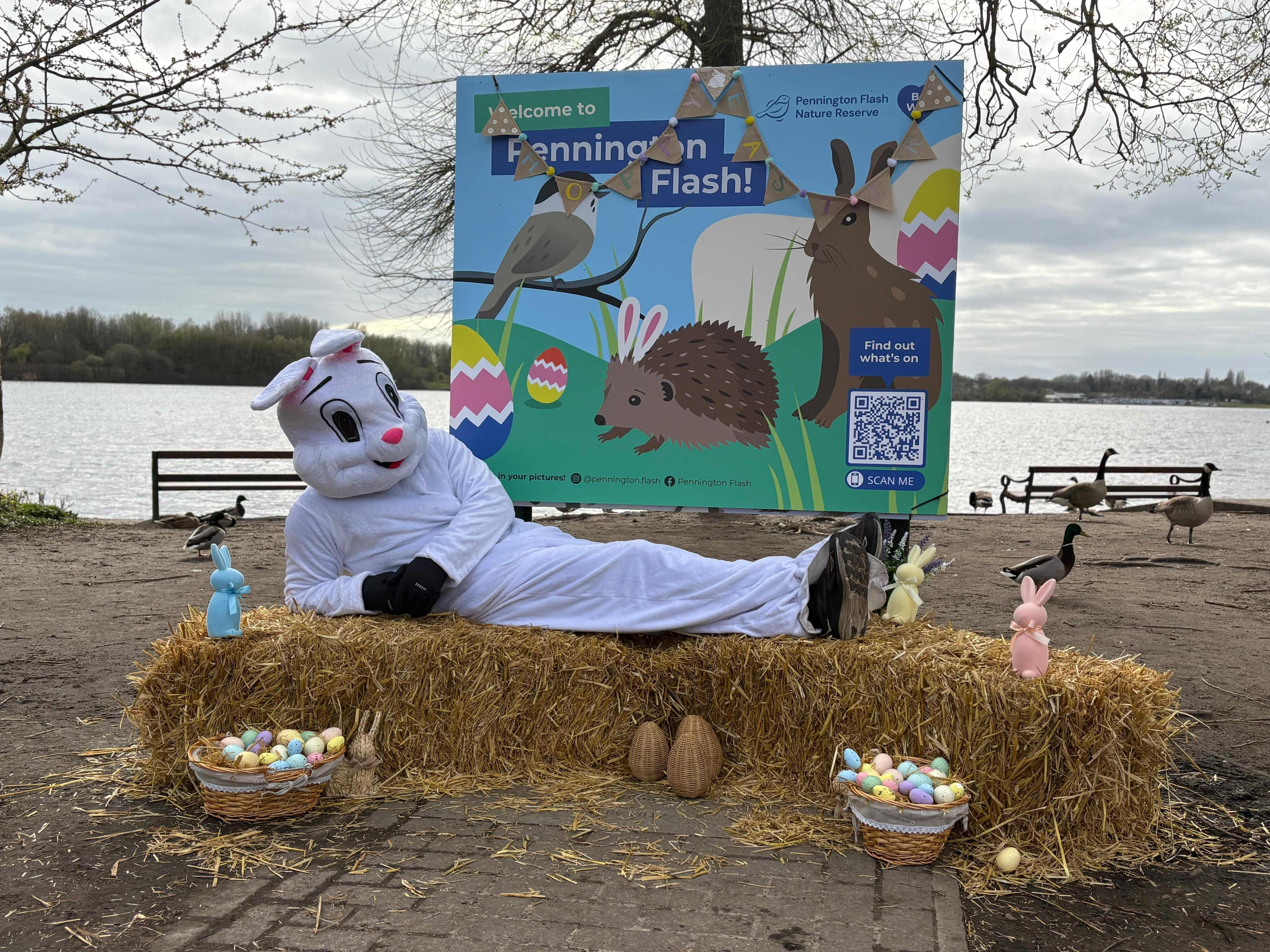 Easter bunny at Pennington Flash